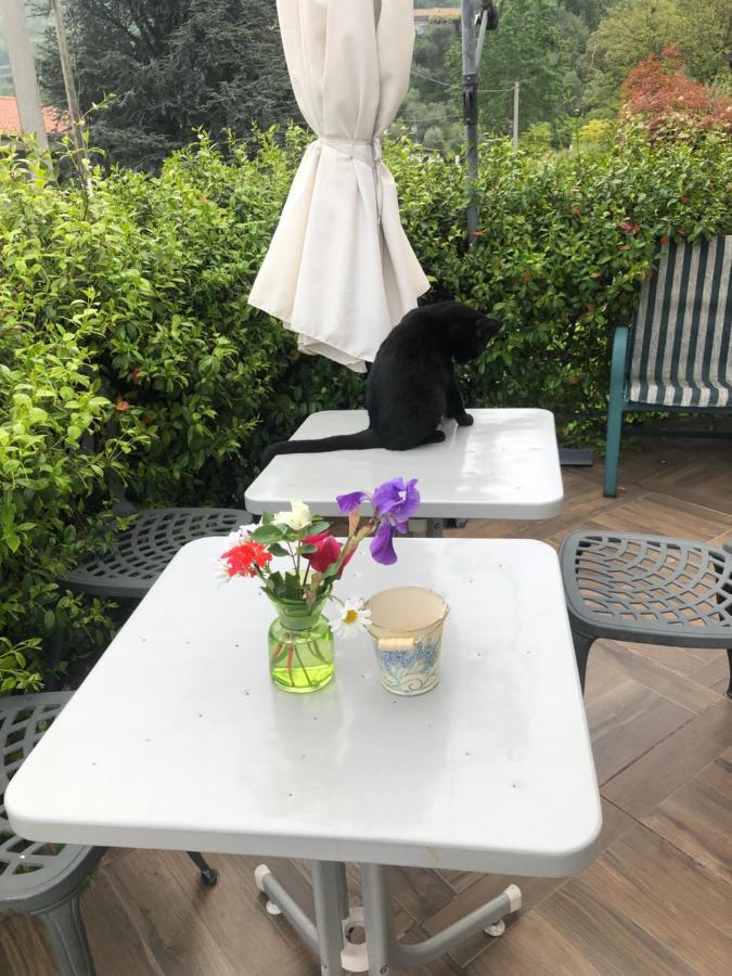Il Gelsomino Bed and Breakfast Iseo Buitenkant foto